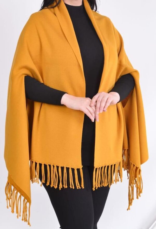 WhatsApp Image 2026-04-30 at 9.41.15 PM (1) Fringe Shawl Poncho